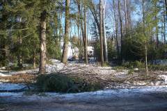 Removal-Brush